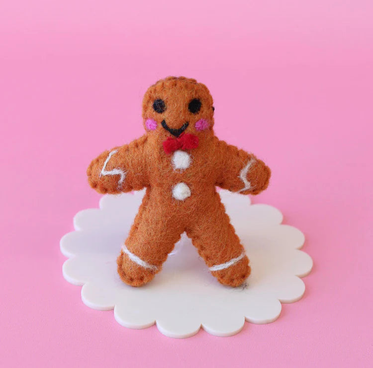 Fred the Gingerbread Kid