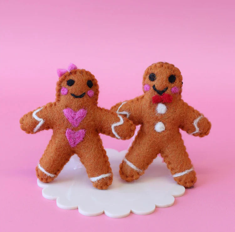 Ginger the Gingerbread Kid